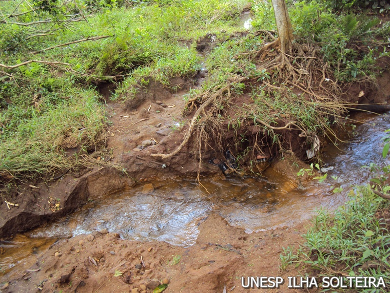 21_marco_2011 (34).JPG